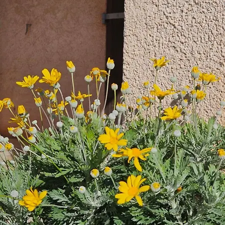 Appartement Li Cabanoun, Au Soleil Issambres A 3min De La A Pied *